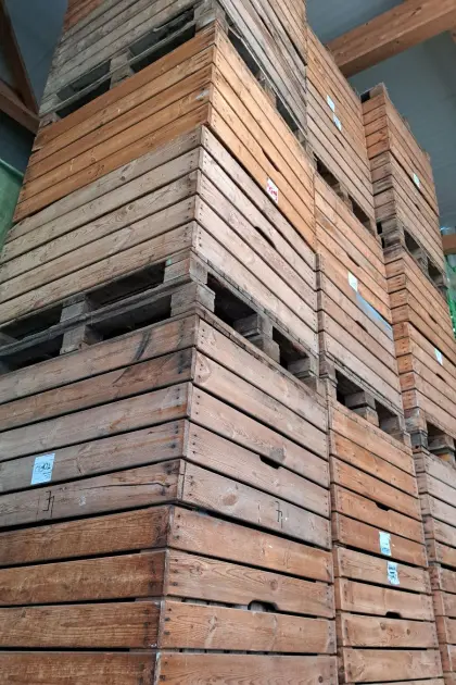 Großkisten aus Holz
