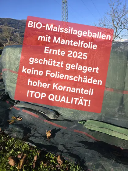 Bio-Maissilageballen