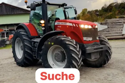 Suche