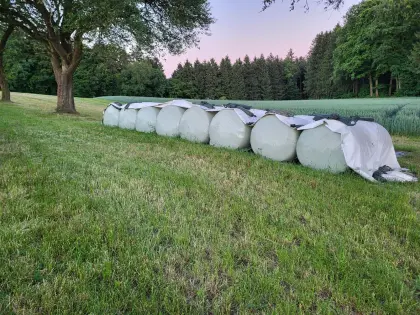 Maissilageballen