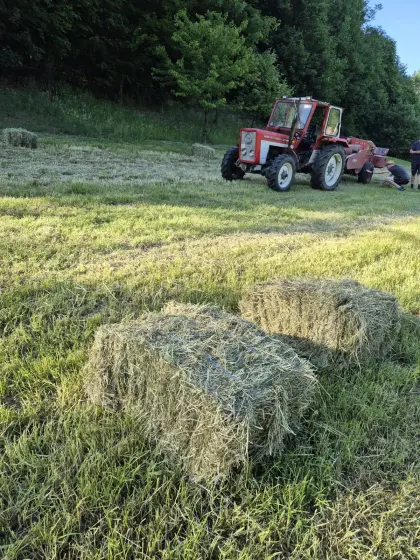 Frische kleine Heuballen