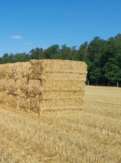 Stroh, Heu