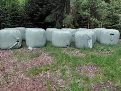 Silageballen