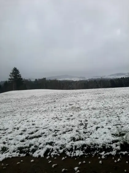 Einstellplatz und Pferdeweide