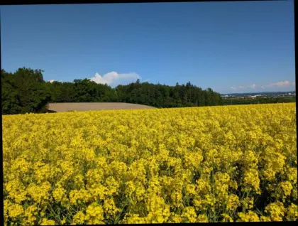 Pachtflächen