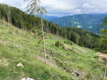 Suche Almbewirtschafter/in