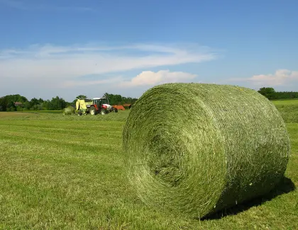 Suche Heuballen