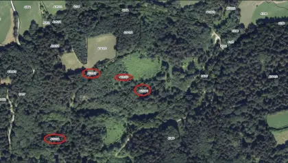 Waldflächen zu verkaufen