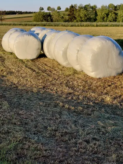 Siloballen