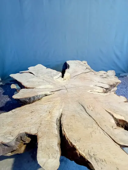 Buchenscheiben Jumbo Tisch