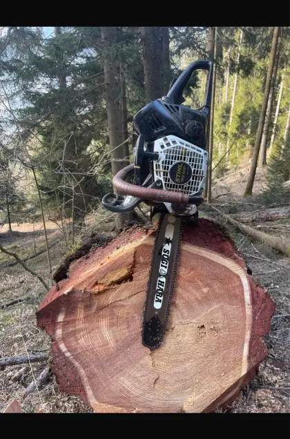 Holzschlägerung