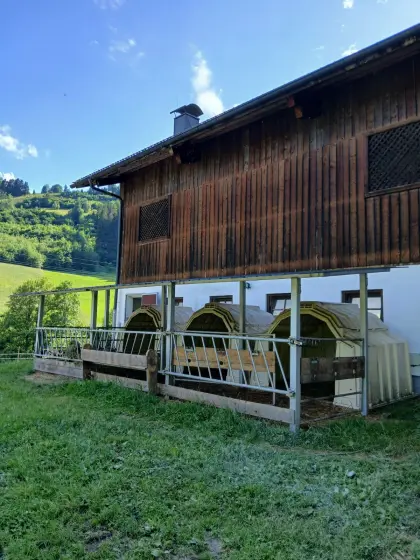 Kälberiglus mit überdachtem Auslauf