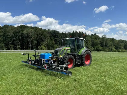 Ampferbekämpfung mit Rumex
