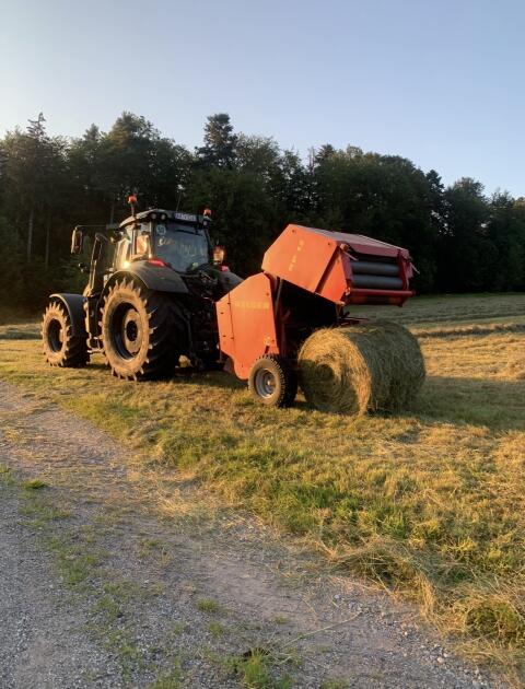 Rundballen direkt ab Wiese zu verkaufen