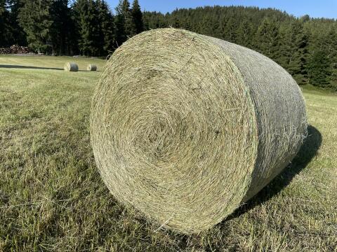 Bio-Heuballen 1. Schnitt 2026