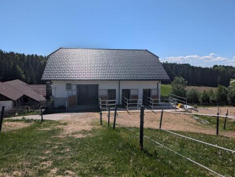 Einstellplatz in liebevoller Stallgemeinschaft frei