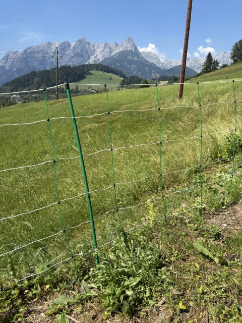 Weidezaun für Schafe und Ziegen