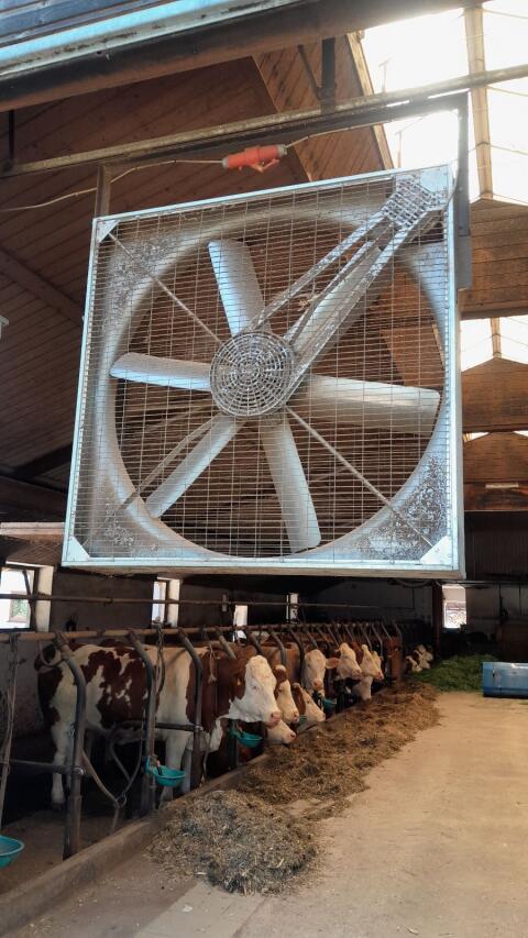 Stalllüfter Ventilator