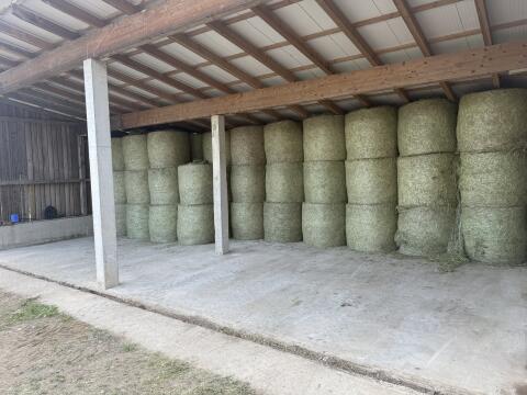 Heuballen 1. Schnitt zu verkaufen