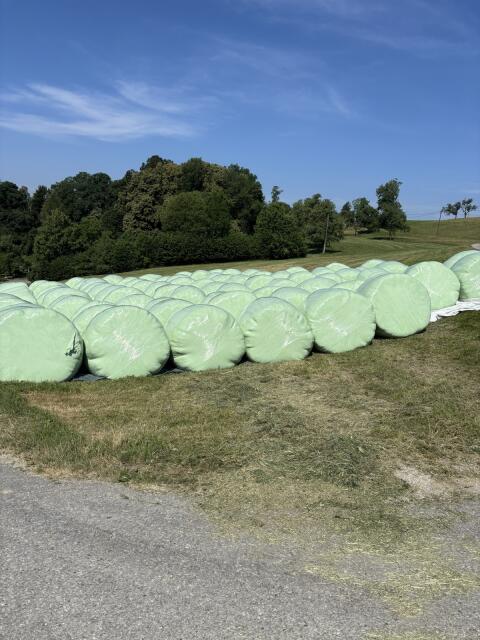 Silageballen