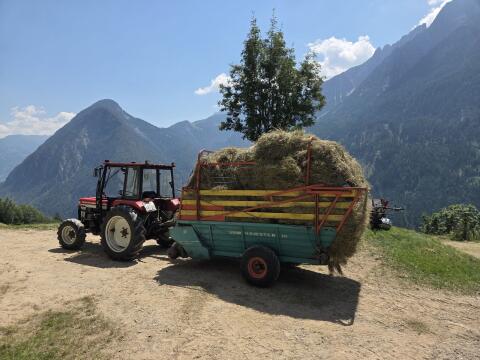 Steyr Ladewagen
