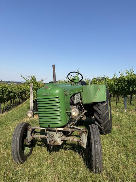 Steyr 185