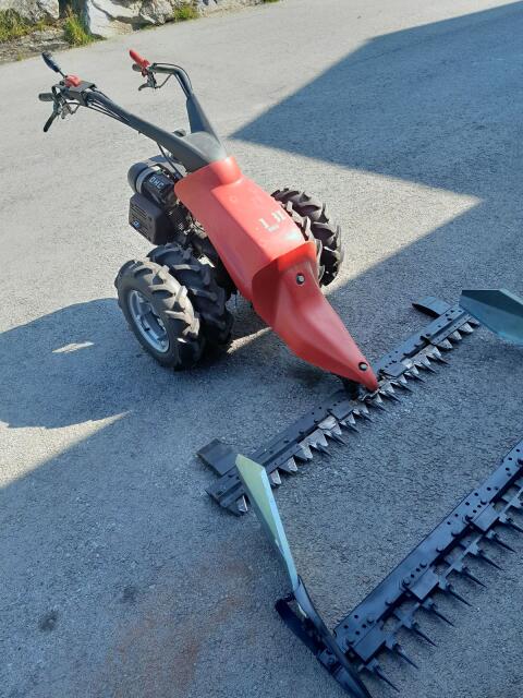 Motormäher