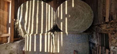 Heuballen zu verkaufen
