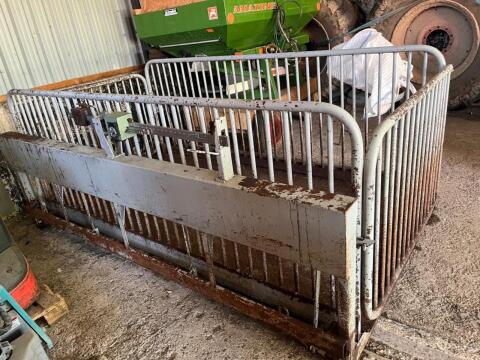 Waage Viehwaage Schaf, Schwein 4,5 m² 1.500 kg Gruppenwaage