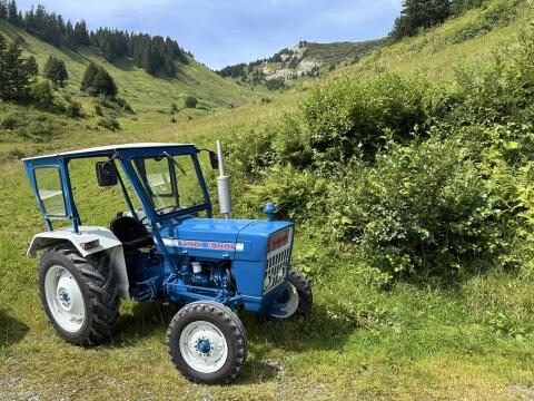 Ford 3000-8 inkl. Typenschein