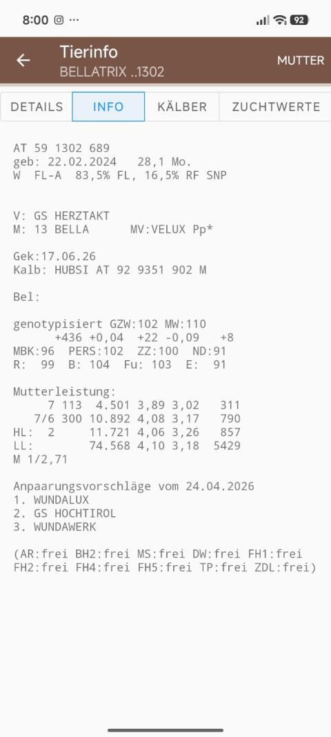 Bio Fleckvieh-Jungkühe (auf Wunsch mit Kalb)
