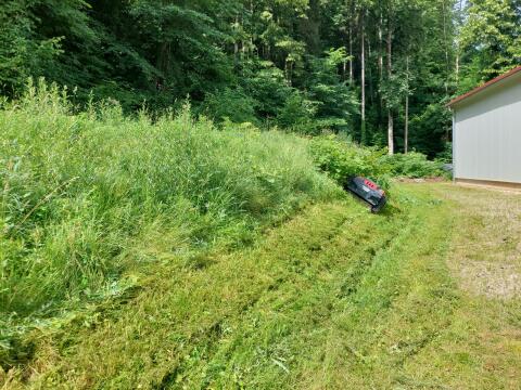 Mähen, Mulchen mit einer Mähraupe