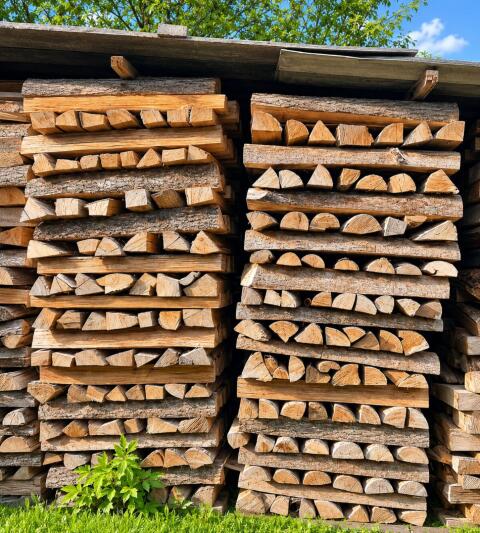 Brennholz Esche, trocken