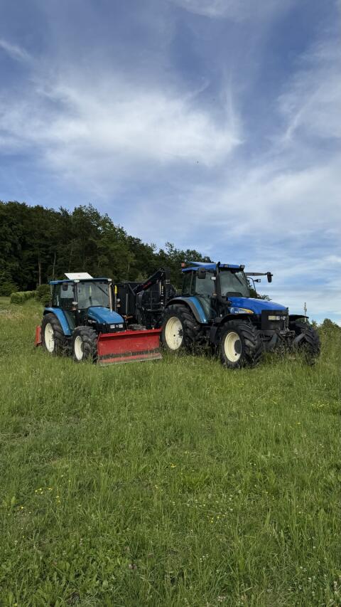 Holzschlägerung, Durchforstung, Bringung, Kranarbeiten