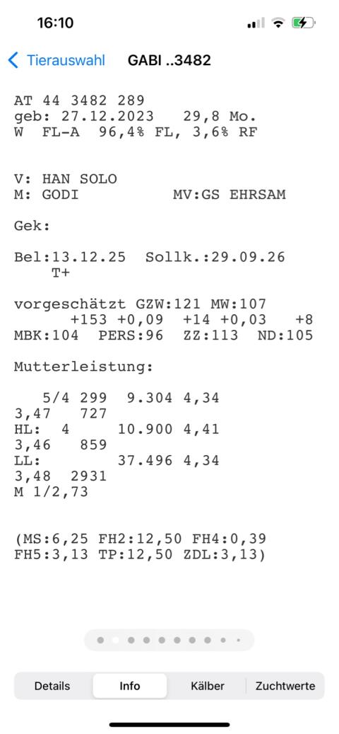 Zuchtkalbinnen