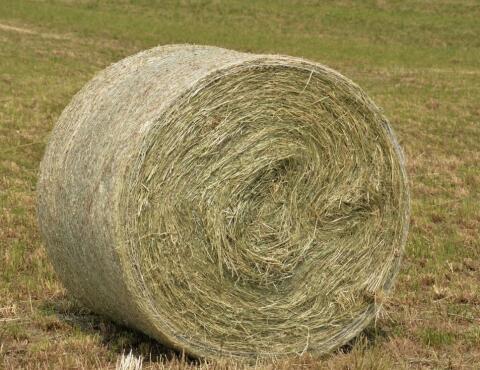 Heu, Rundballen