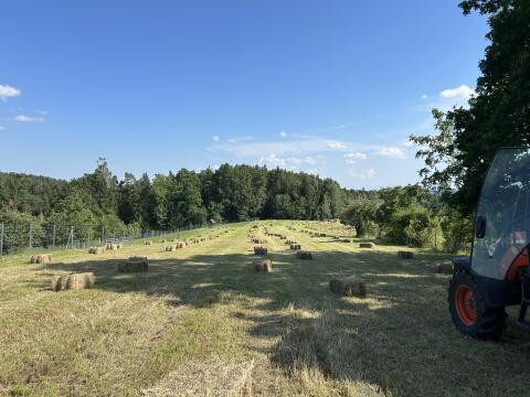 Strohballen 10 kg, 100 Stk. ab Juli