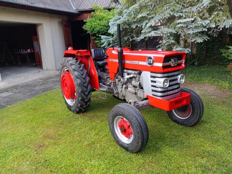 Massey Ferguson MF175