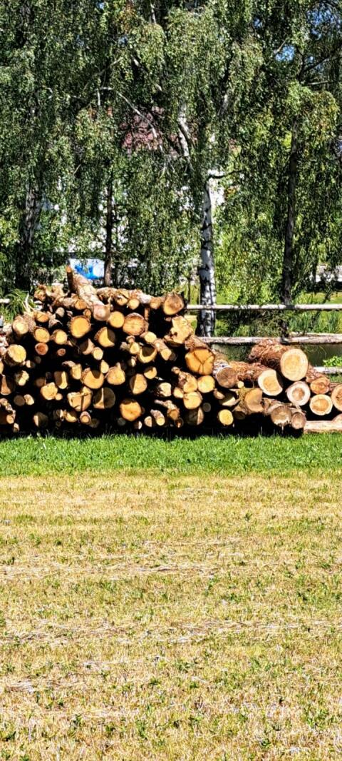 Brennholz
