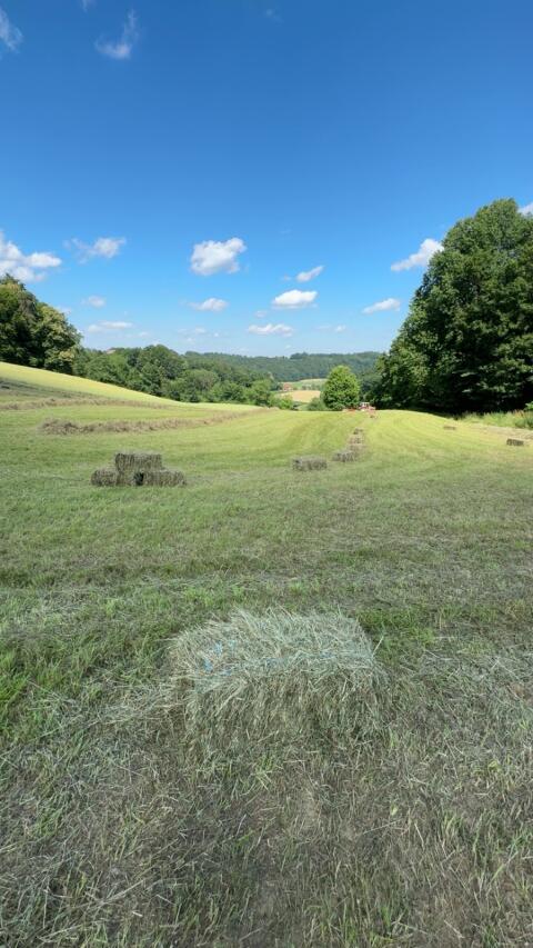 Heu Kleinballen, Heuballen vom 1. Schnitt 2026