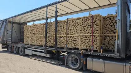 Buchenbrennholz