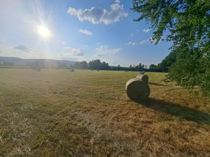 Heu-Ernte 2026 Rundballen Top Qualität