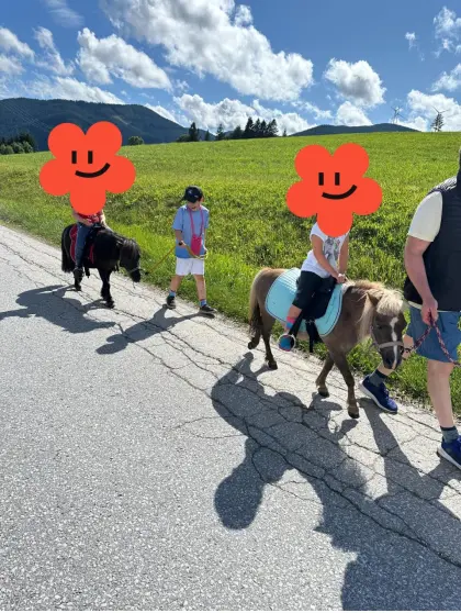 Braver Minishetty-Wallach Reitpony