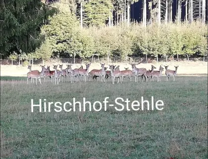 Landwirtschaft mit Damwildgehege