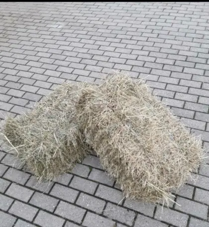 Heubündel 1. Schnitt 2026