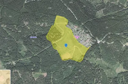 6,92 ha Almfläche auf der Saualpe, öffentliches Bieterverfahr