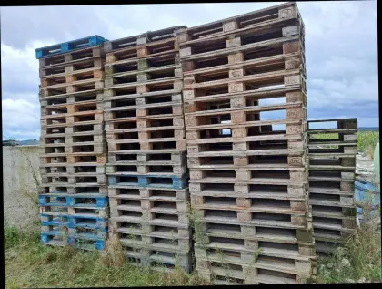 Paletten