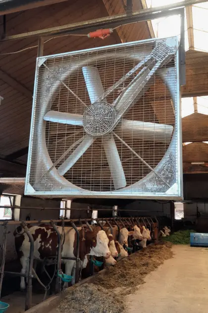 Stalllüfter Ventilator