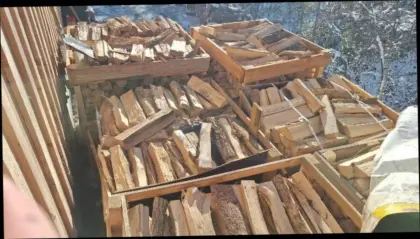 Brennholz