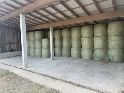 Heuballen 1. Schnitt zu verkaufen